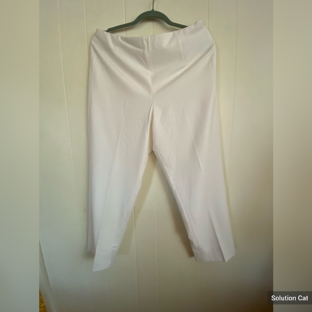 Talbots Winter White Pants. Lined. Side Zipper. S… - image 1